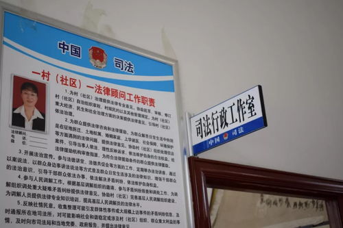 計算機科技賦能鄉村實業，煙臺萊州見證科技志愿服務新篇章